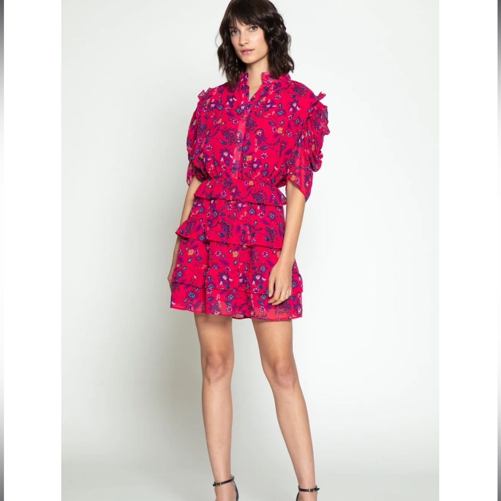 Walter Baker Resse Ruffled Dress Size 0 XS Hot Pink Floral Sheer Mini